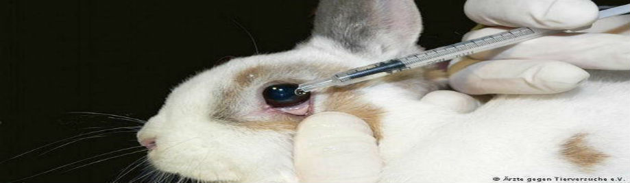 New Europe-wide animal protection partnership aims to end #AnimalTesting in  the EU - EU Reporter